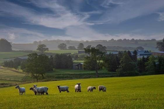 Hollybank Barn Villa Dorchester Bagian luar foto